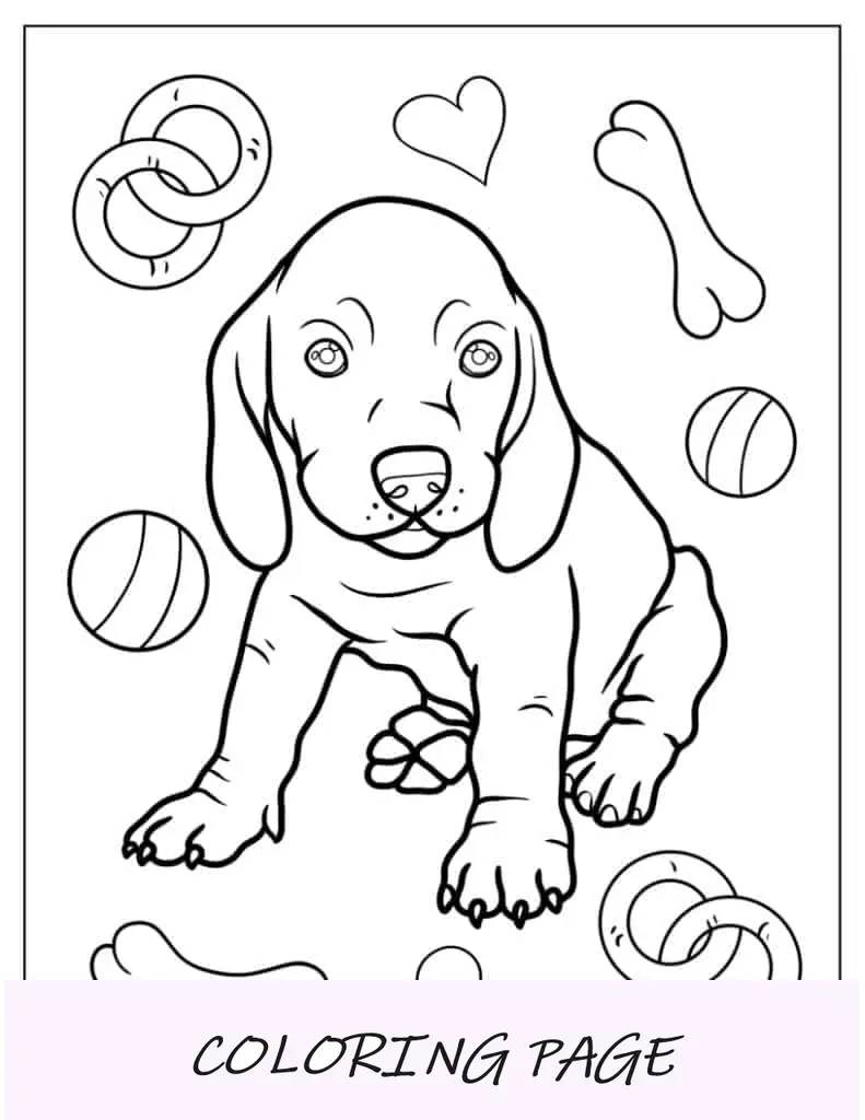Página para colorir de cachorrinho Dachshund
