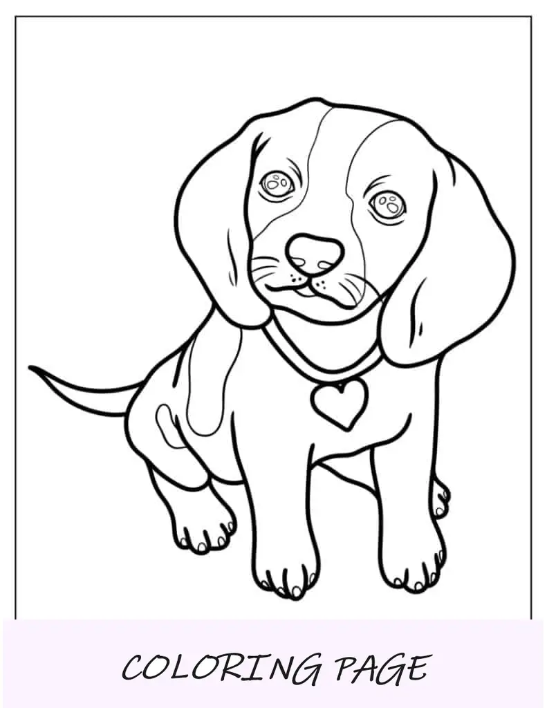 Página para colorir de cachorrinho Beagle realista com coleira