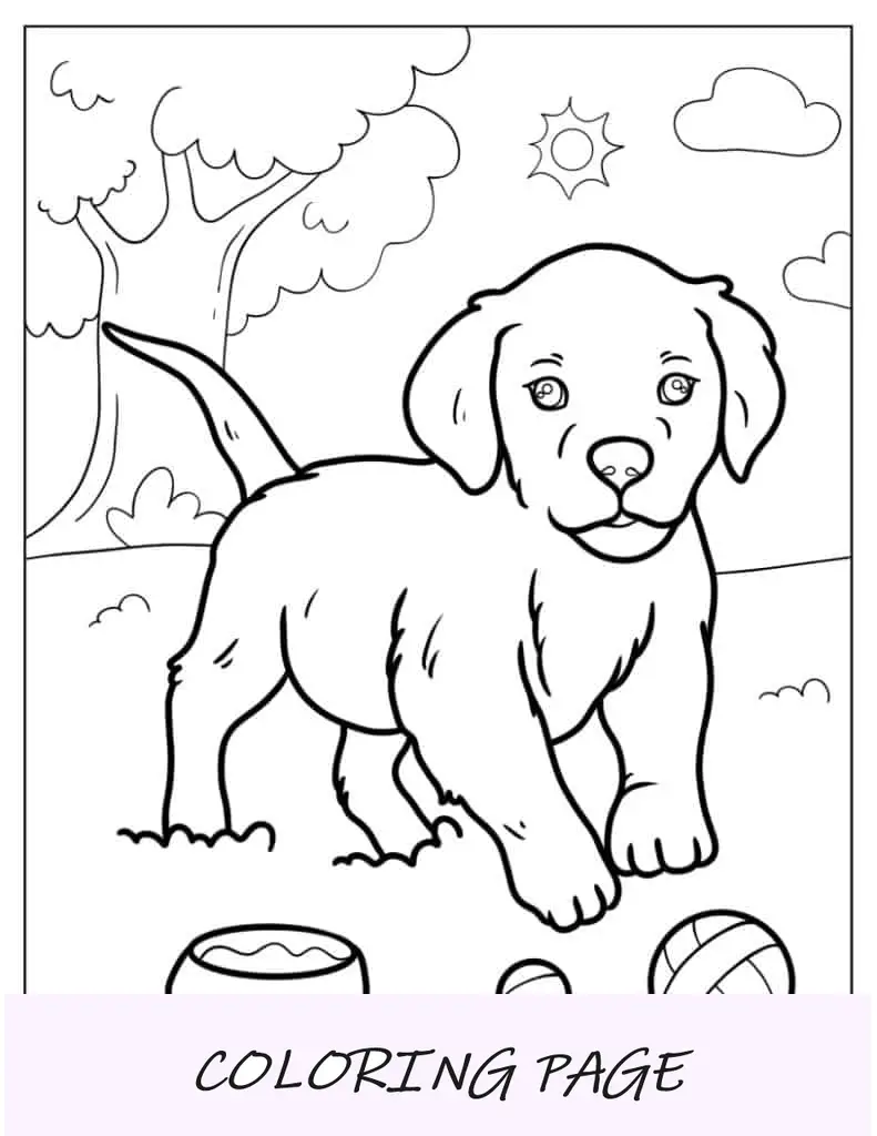 Filhote de labrador realista brincando com bola para colorir