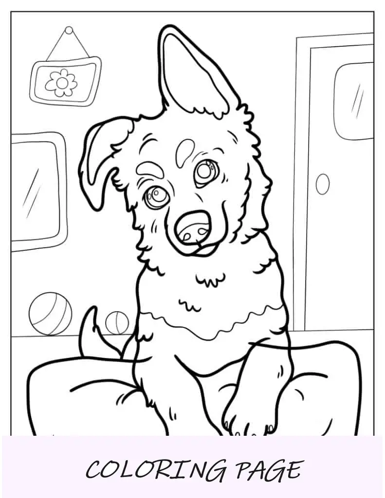 Página para colorir de cachorrinho Malinois belga com orelha empinada