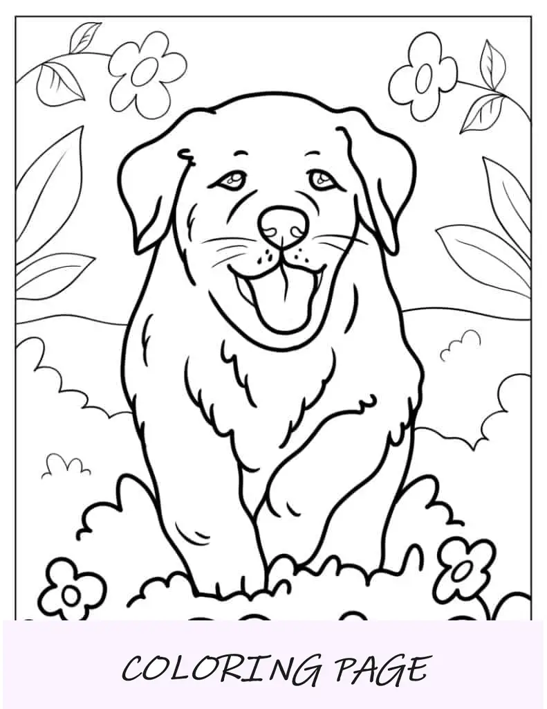 Folha para colorir de filhote de labrador em canteiro de flores