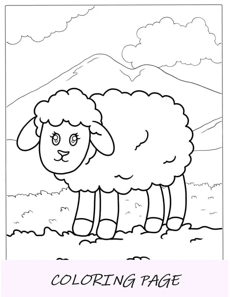 Esquema simple de ovejas para niños pequeños