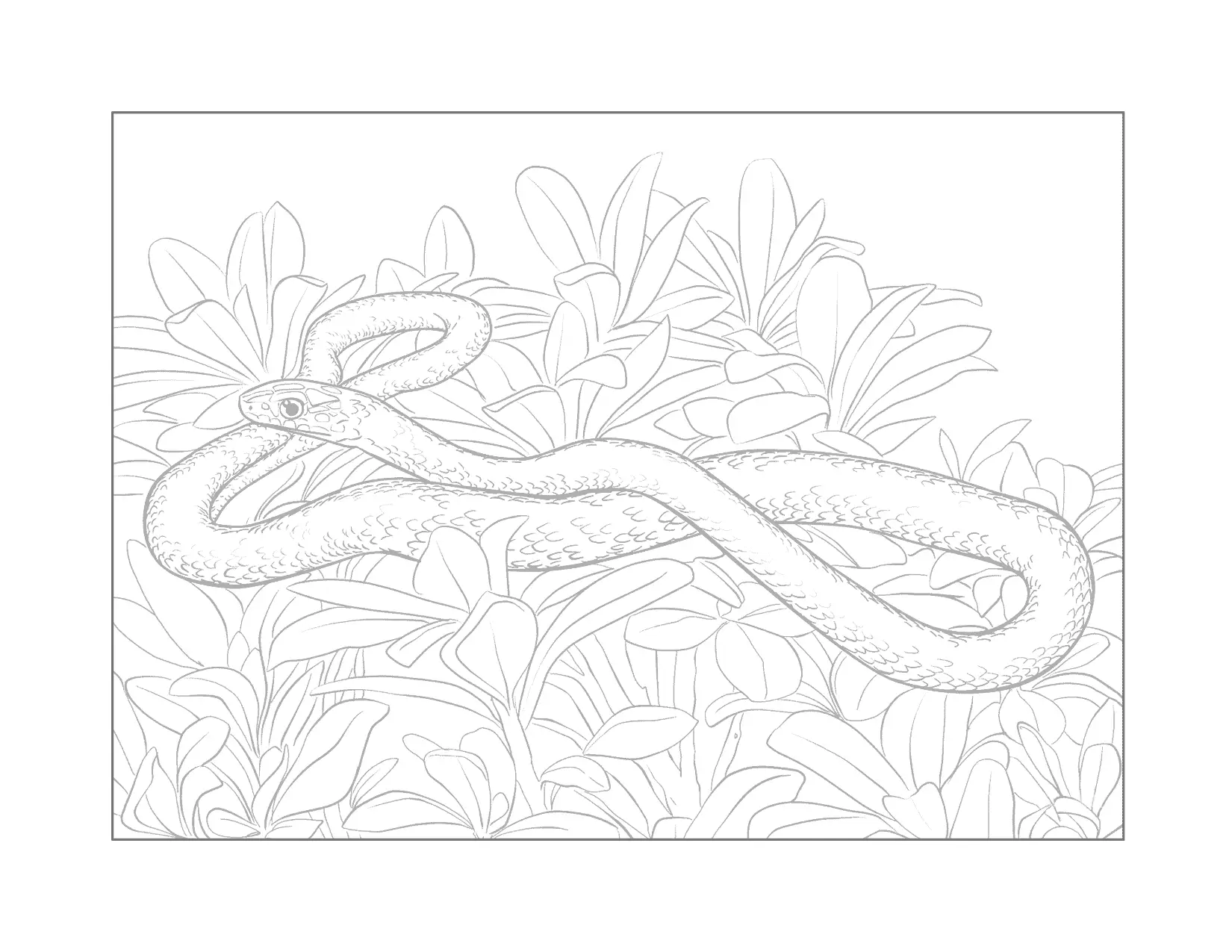 Traceable Snake Coloring Page