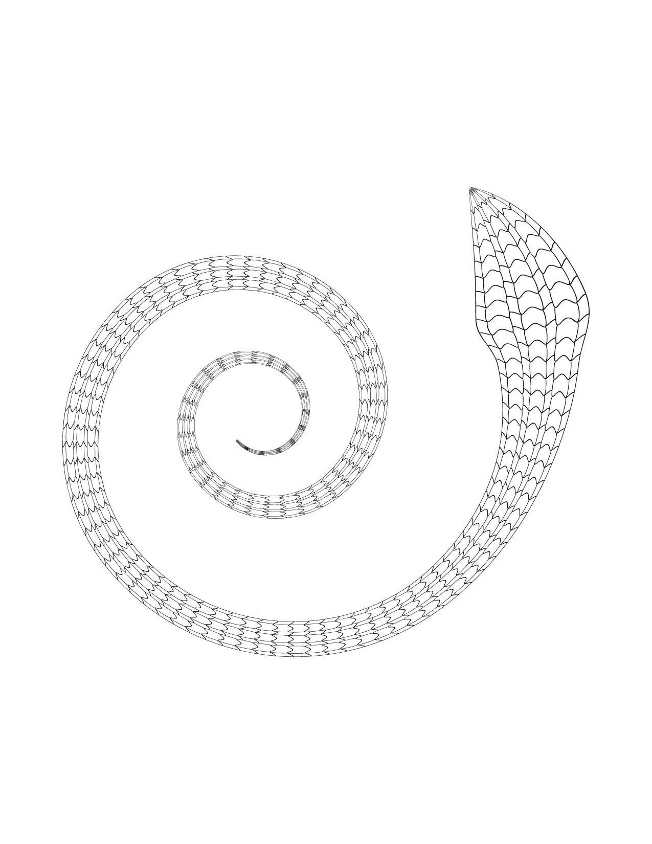 Spiral Snake Coloring Page