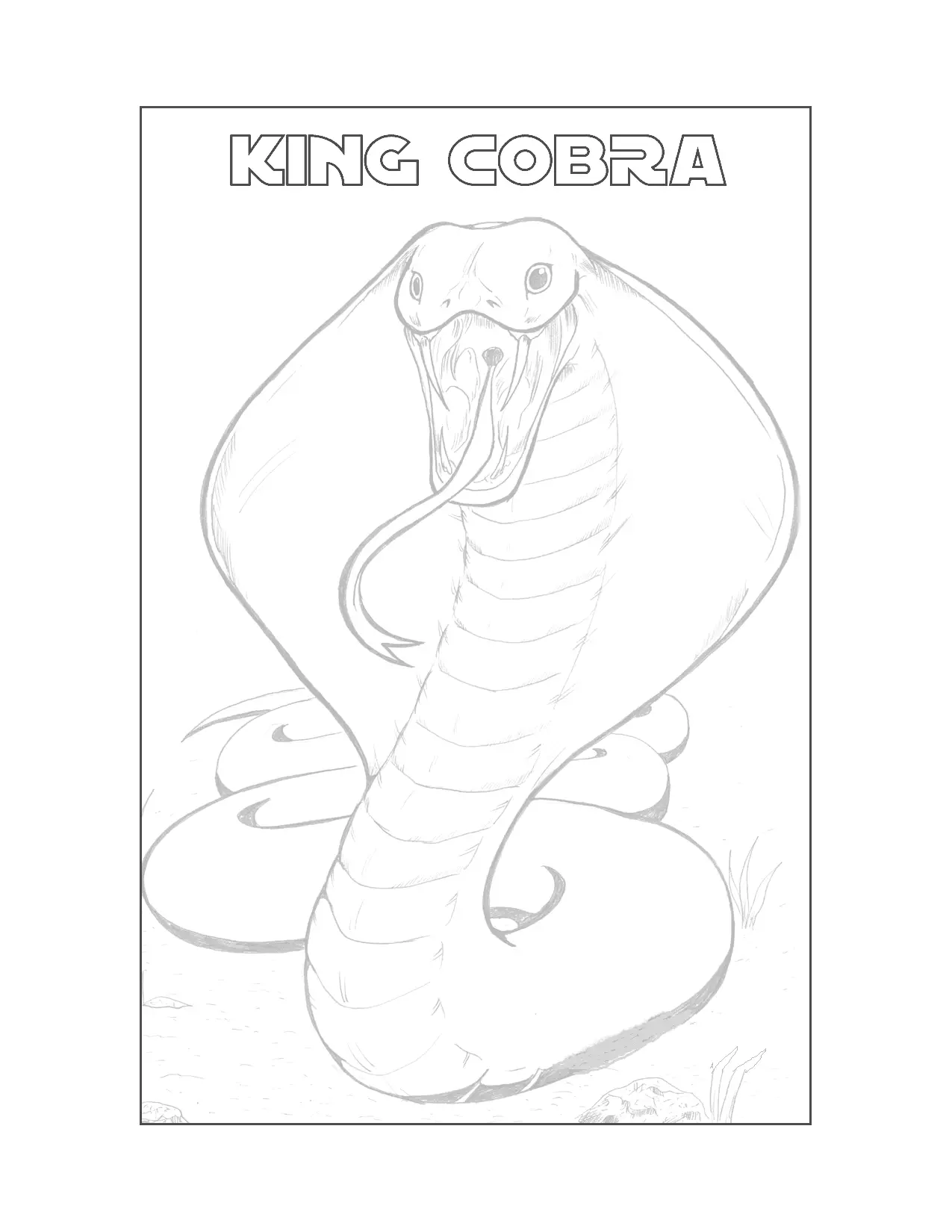 King Cobra Tracing Coloring Page