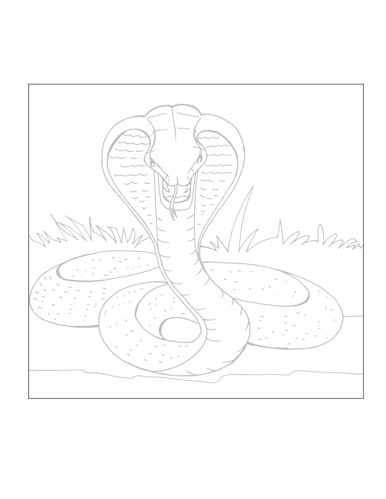 King Cobra Traceable Coloring Page