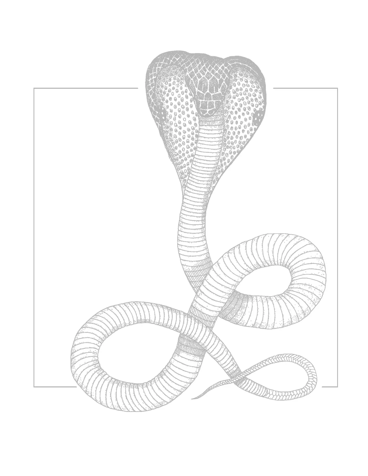 King Cobra Traceable Coloring Sheet