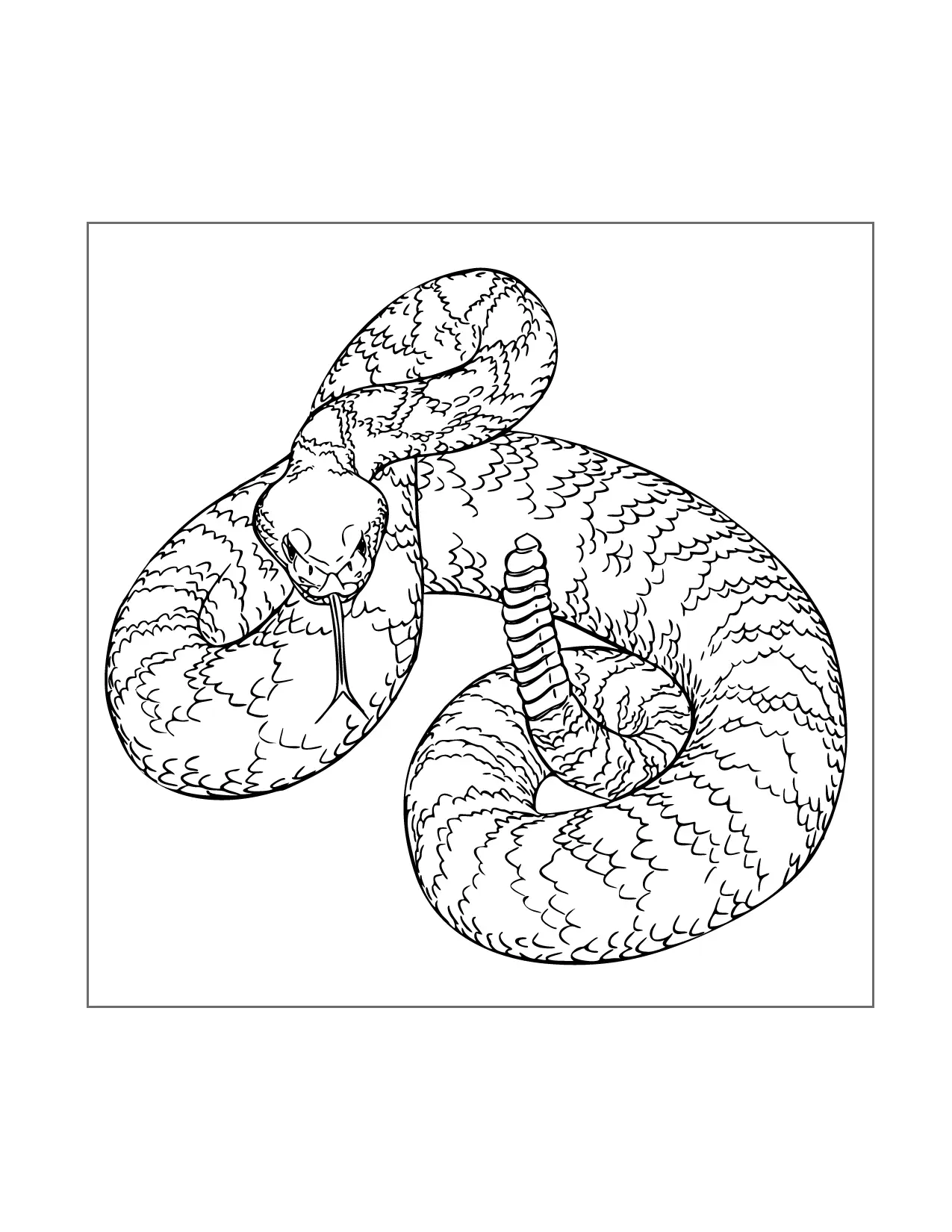 Diamondback Rattlesnake Coloring Page