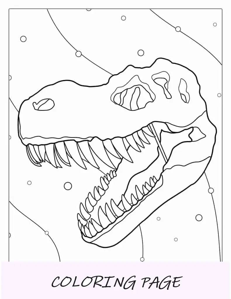 Página para colorear de calavera de T-Rex para estudiantes