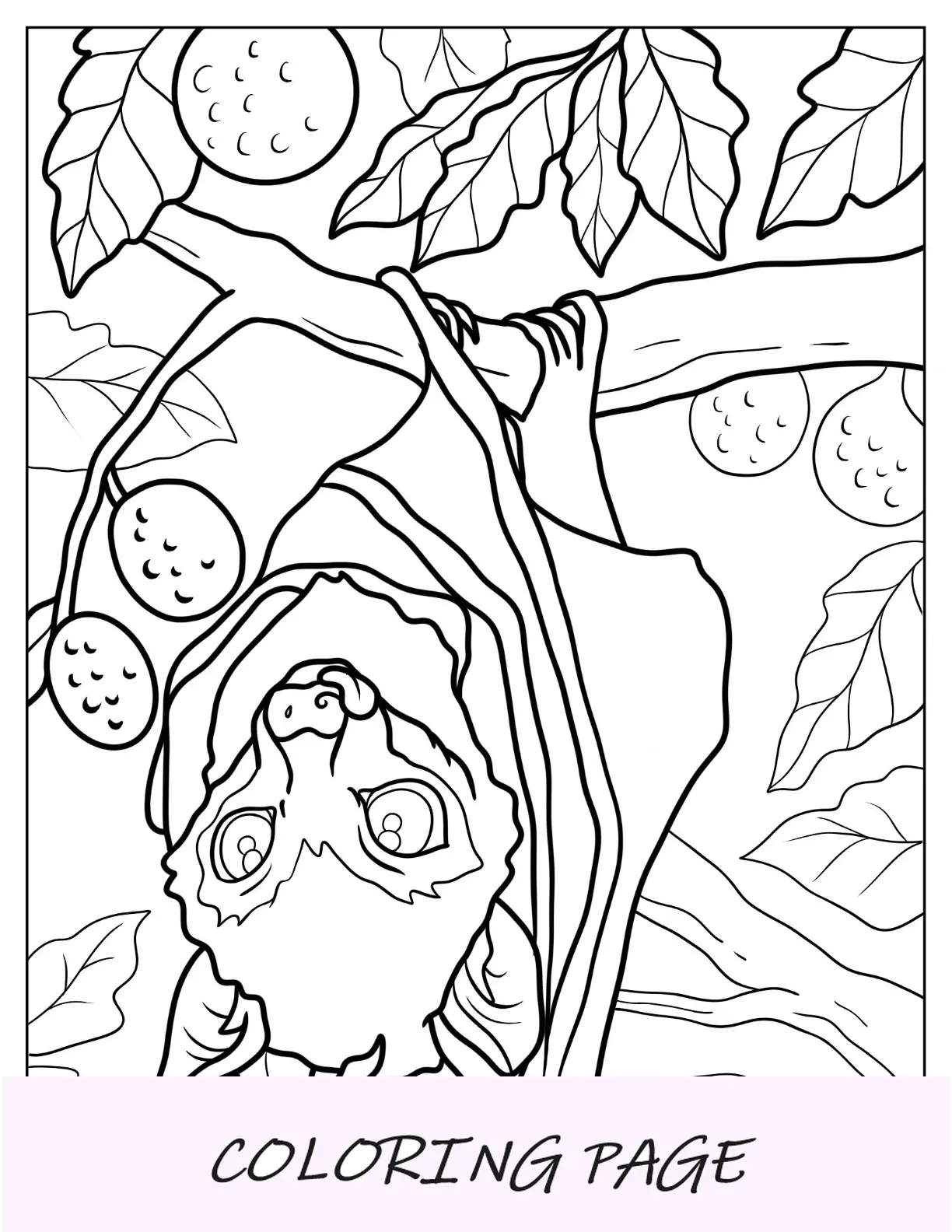 Close up de uma página para colorir de morcego realista empoleirada em uma árvore frutífera