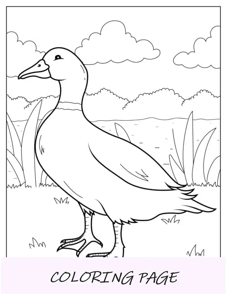 Realistische Malseite einer Ente