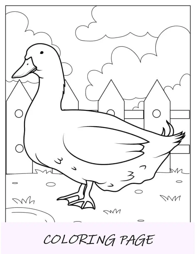 Ausmalbilder Bauernhof-Ente