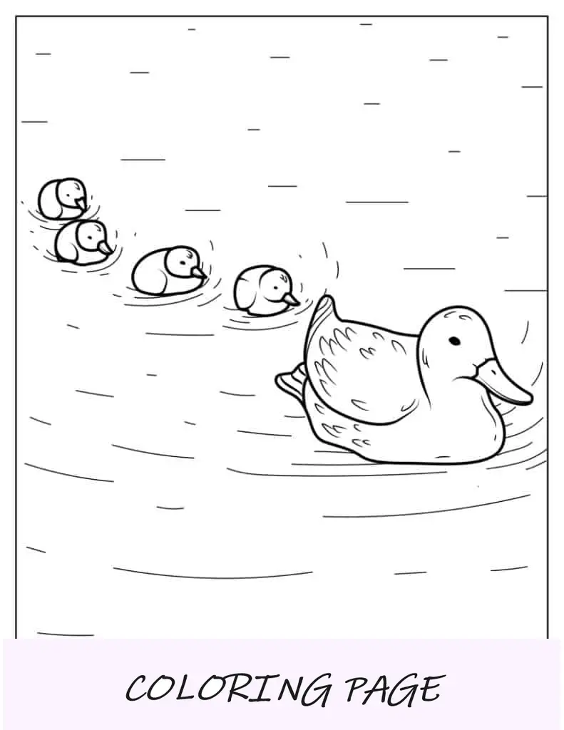 Entenküken folgen Mama im Teich