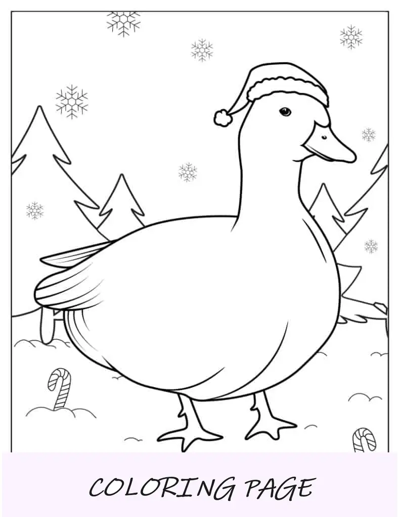 Weihnachtsente zum Ausmalen