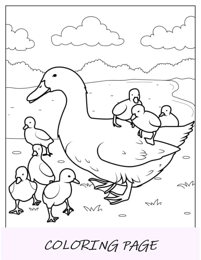 Mutter, Ente, Mit, Herde, Von, Ducklings