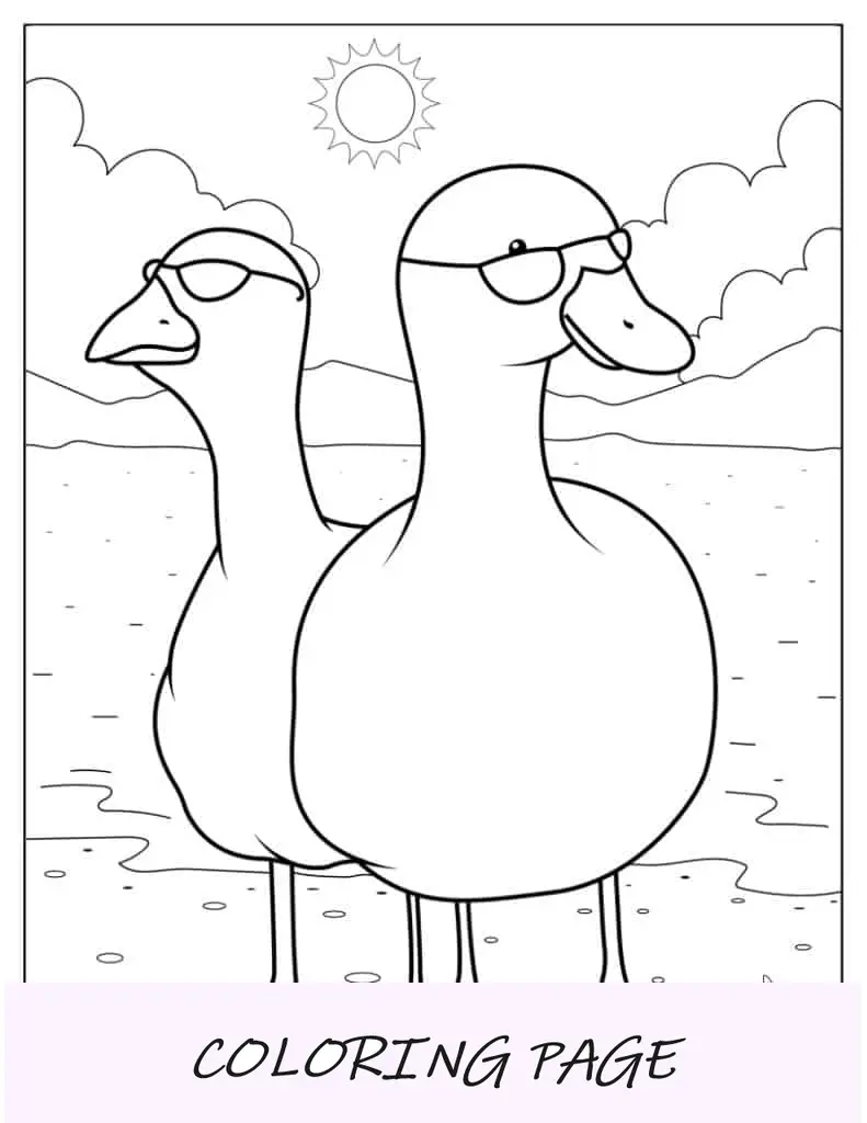 Zwei Enten mit Sonnenbrille am Strand