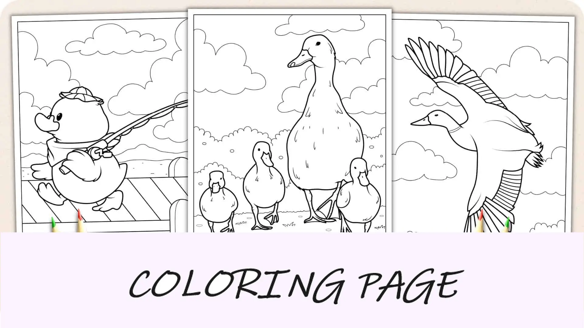 Ausmalbilder Ente Ausgewähltes Bild__