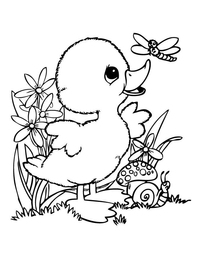 Cute Baby Duck Coloring Pages