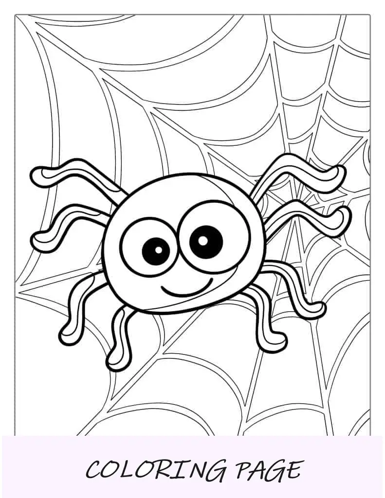 Aranha fofa de desenho animado na web