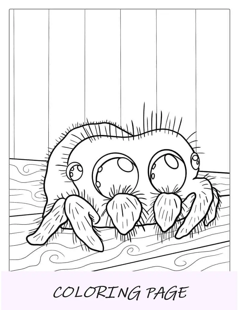 Página para colorir de aranha saltadora fofa para crianças