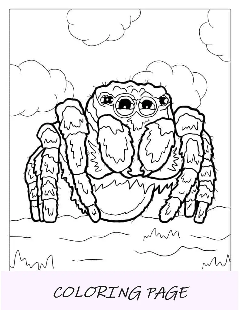 Página para colorir de aranha saltadora fofa
