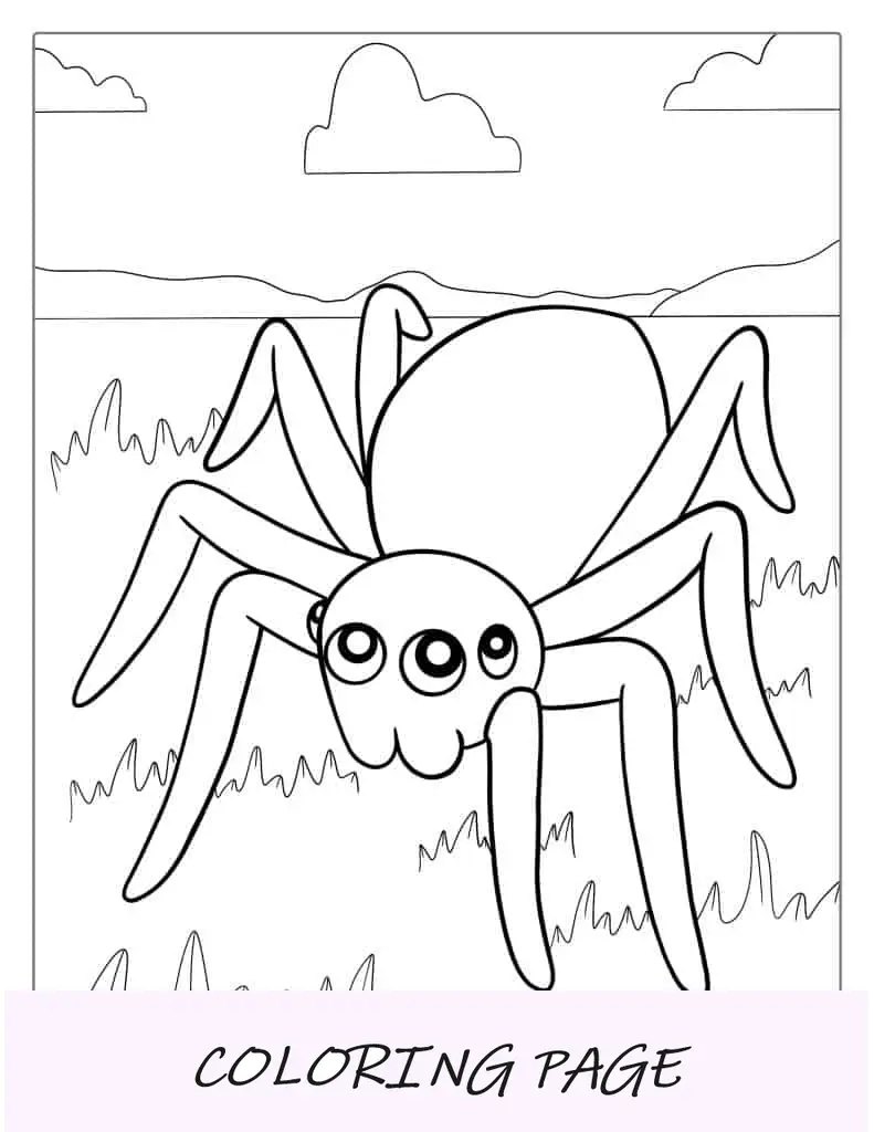 Contorno simples de aranha para colorir