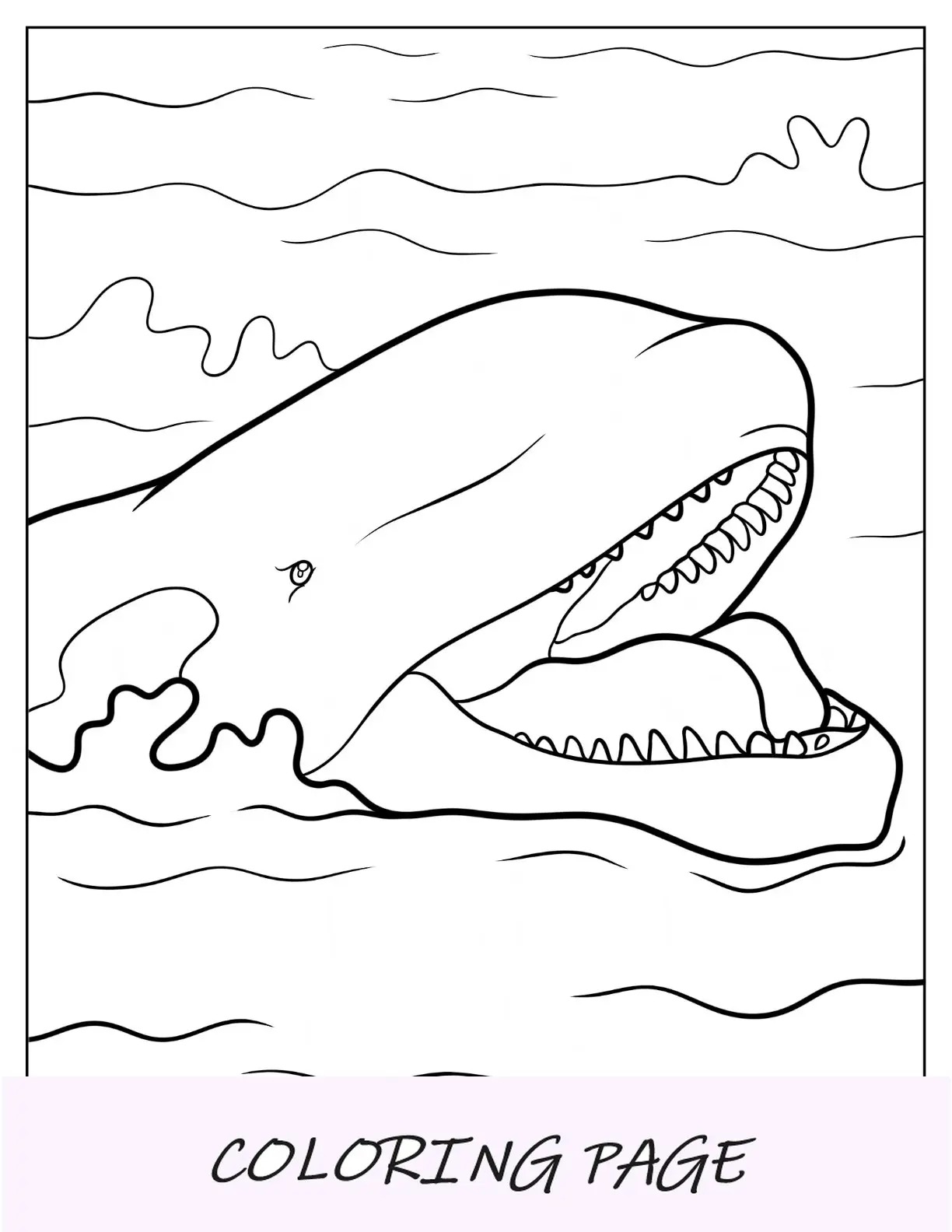 Close Up De Uma Orca Sorridente Realista Para Colorir
