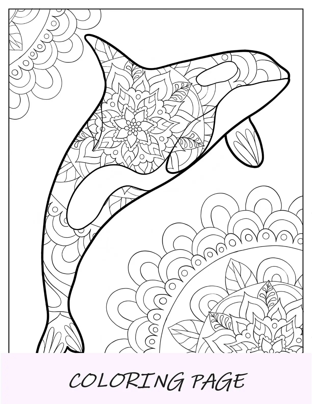 Mandala intrincada de página para colorir de baleia assassina