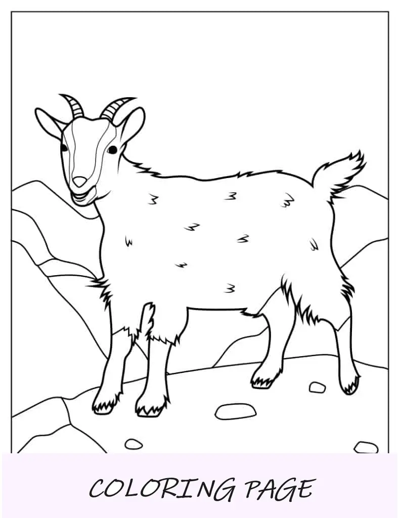 Cabra Montés Esponjosa Para Colorear