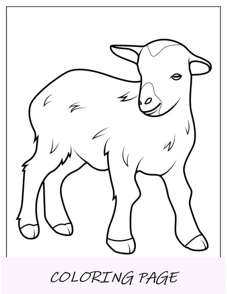 Lindo cabrito para colorear