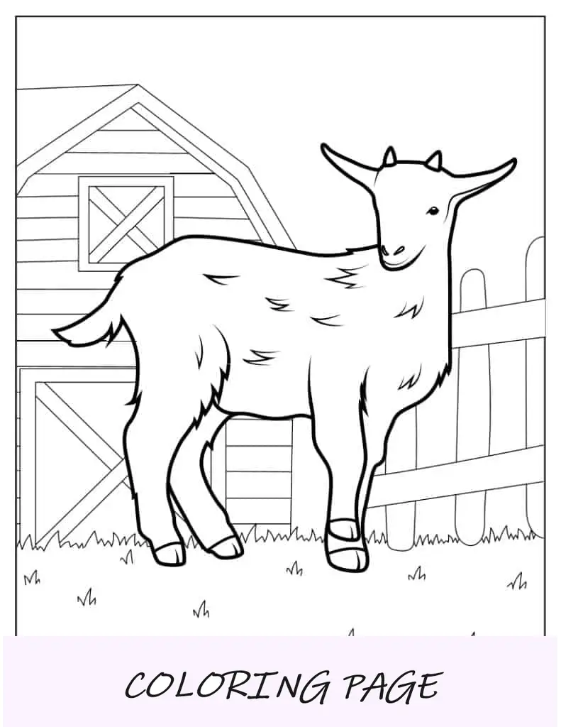 Dibujo para colorear de una cabra junto a un granero