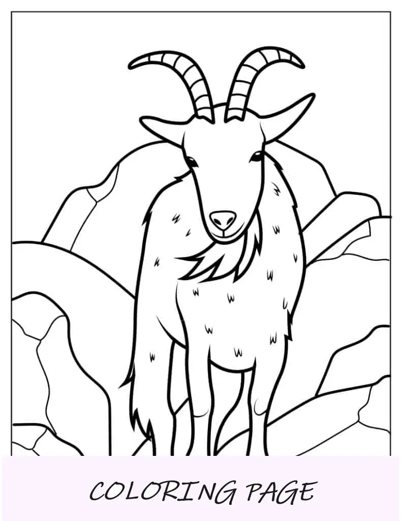 Cabra Montés Página Para Colorear