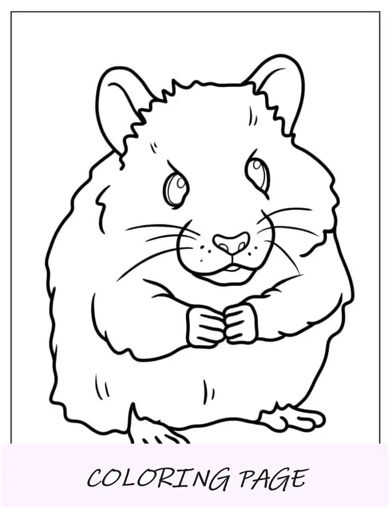 Hoja para colorear de hámster peludo para niños
