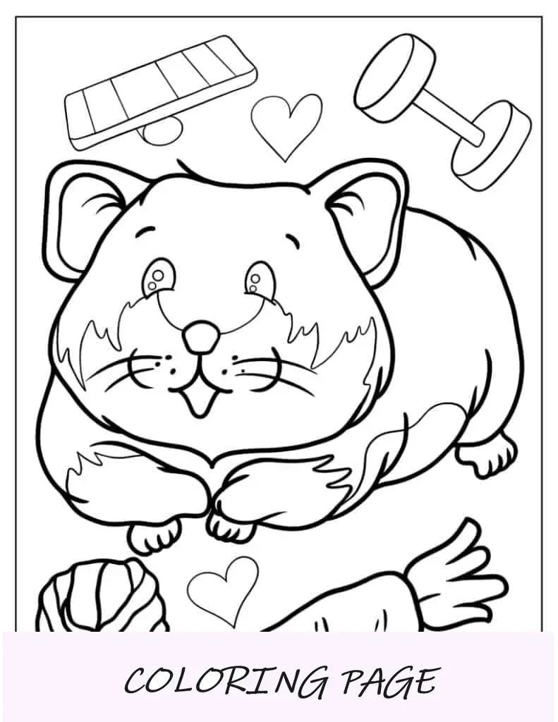 Página para colorear de hámster gordo