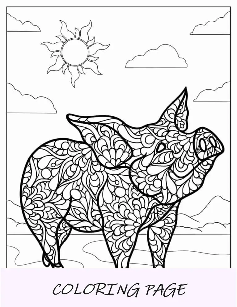 Página para colorir Mandala Porco