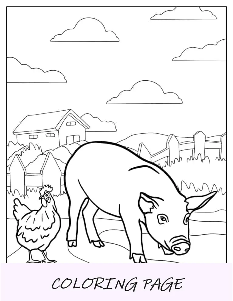 Folha detalhada para colorir porco e frango