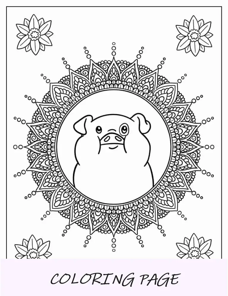 Mandala de porco