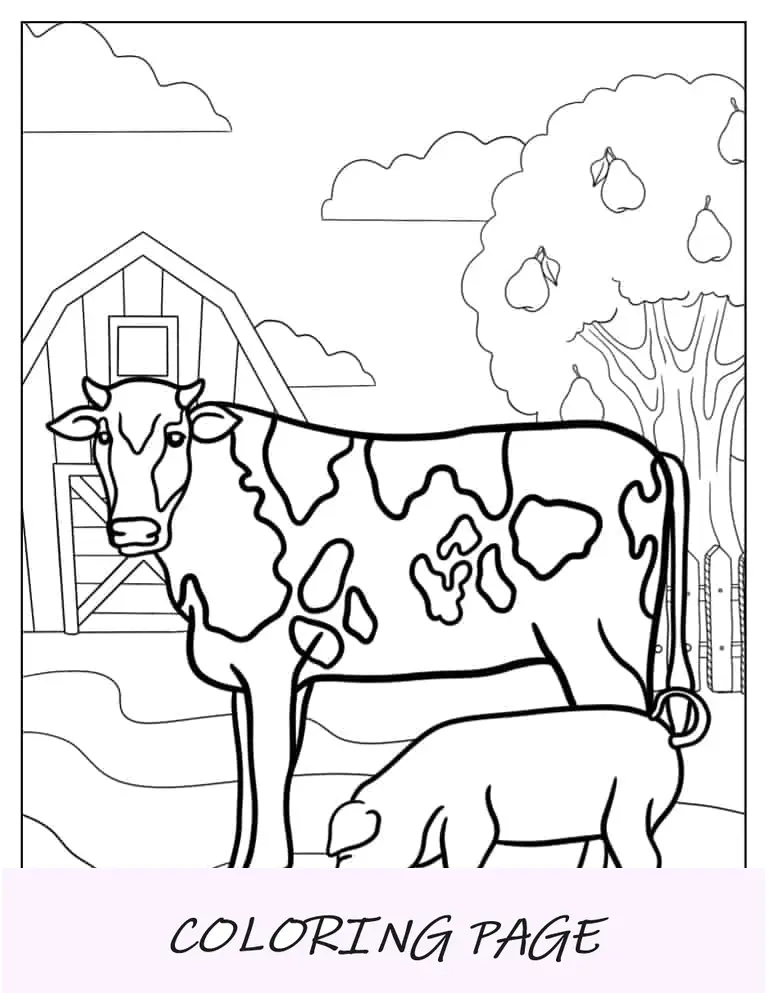 Vaca e porco em uma fazenda para colorir