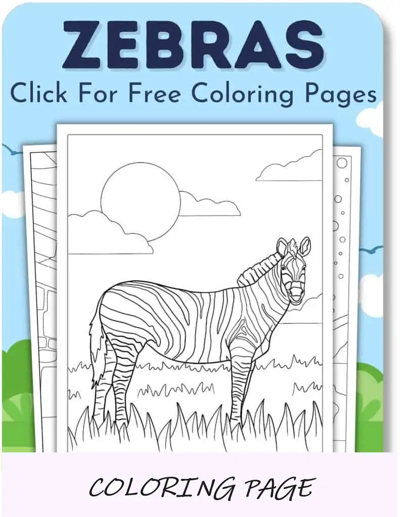 Zebras (páginas)