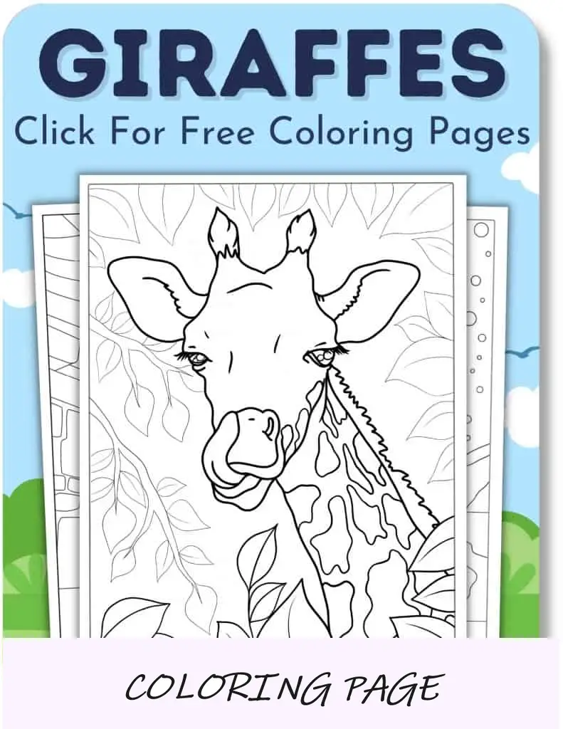 Girafas (páginas)