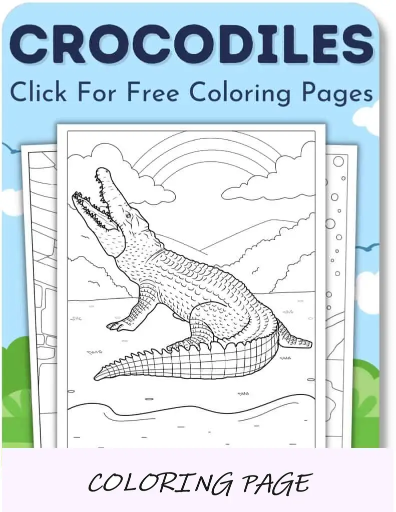 Crocodilos (páginas)