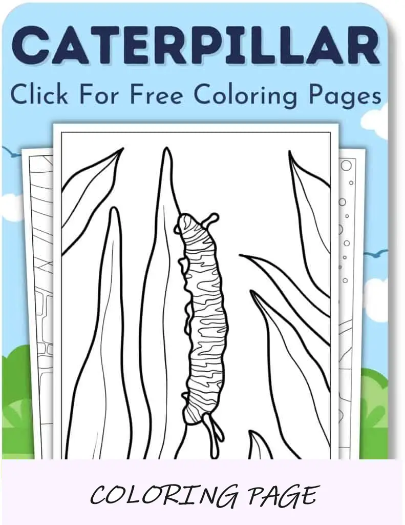 Desenhos para colorir de lagarta