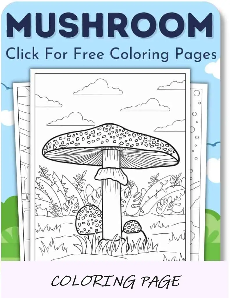 Desenhos para colorir de cogumelos_