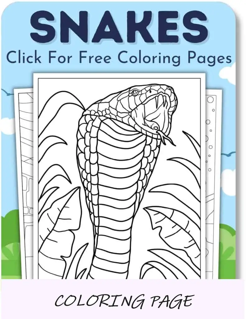 Desenhos para colorir de cobras_