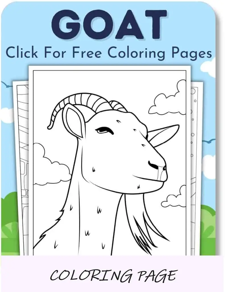 Desenhos para colorir de cabras