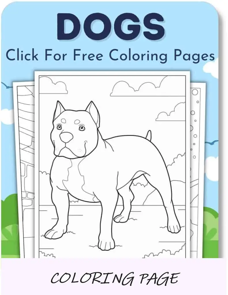 Imagem de capa de cachorro para meninos