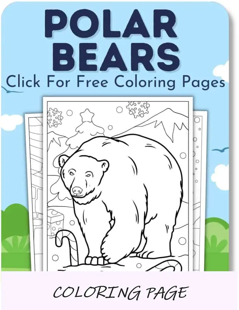 Desenhos para colorir de ursos polares para meninos
