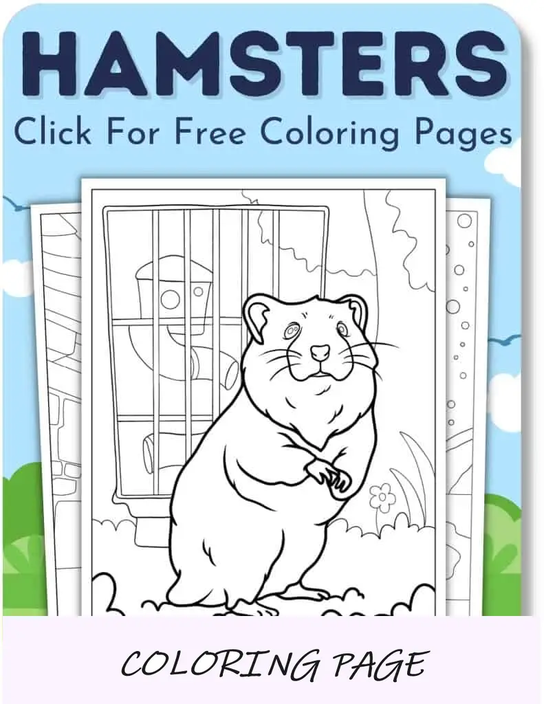 Desenhos para colorir de hamsters para meninos