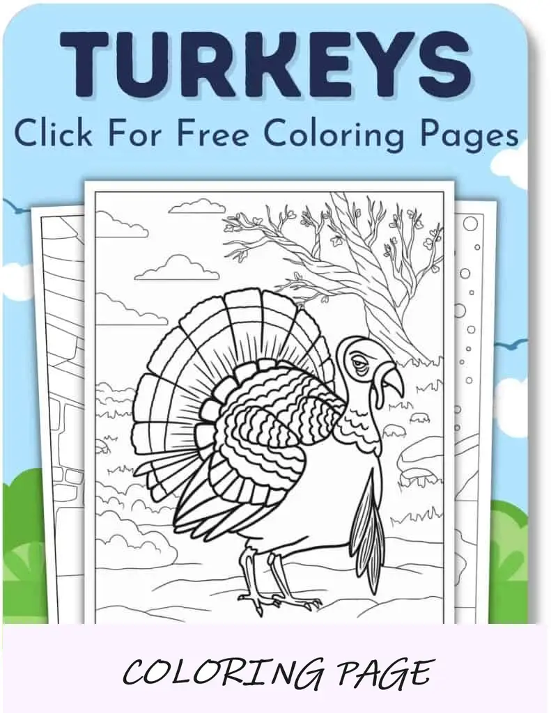 Desenhos para colorir de perus para meninos
