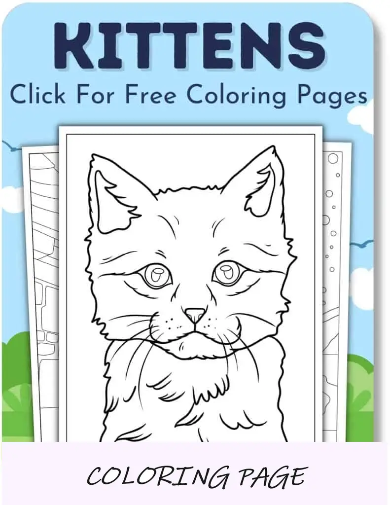 Desenhos para colorir de gatinhos para meninos
